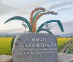 广州市增城区朱村街的丝苗米稻田公园 成为热门秋游打卡地 金秋稻香感受丰收喜悦