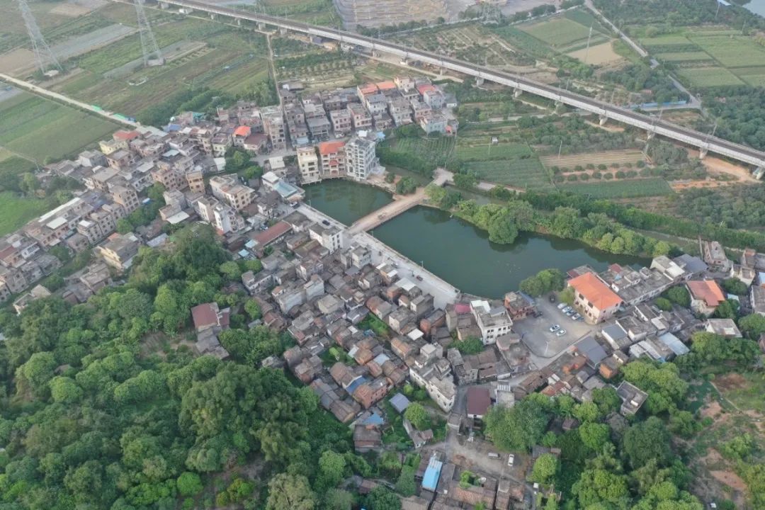 广州市增城区仙村镇岳湖村 立足自然生态和农业产业优势 积极盘活存量土地和集体资源