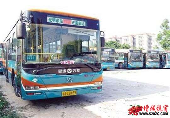 增城区逐步淘汰传统燃料公交车 现役公交车总数增至626辆